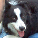 Morgan was adopted in August, 2004
